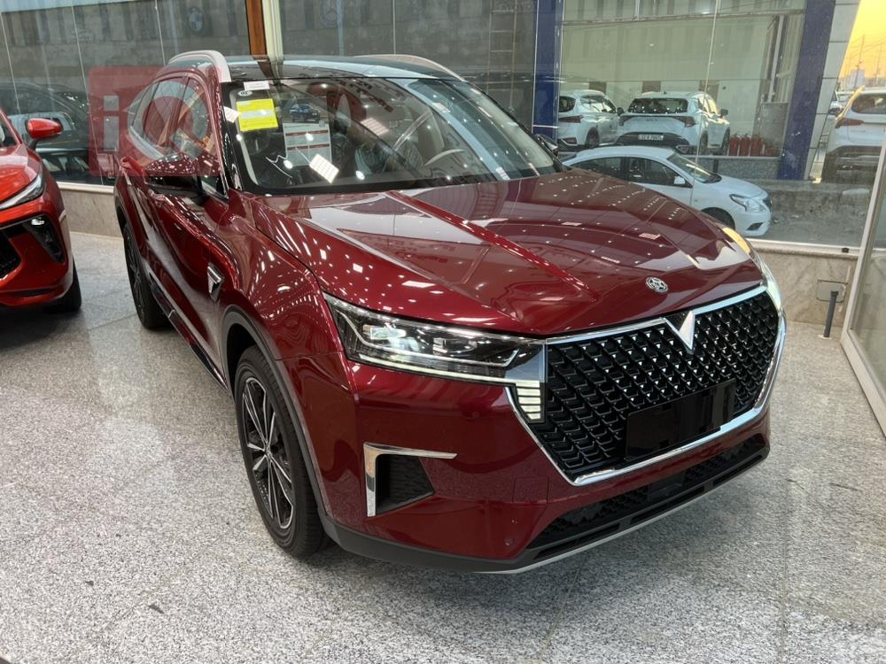 Dongfeng Venucia